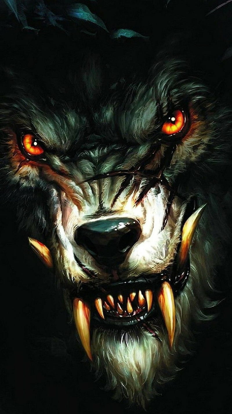Anger wolf, HD phone wallpaper