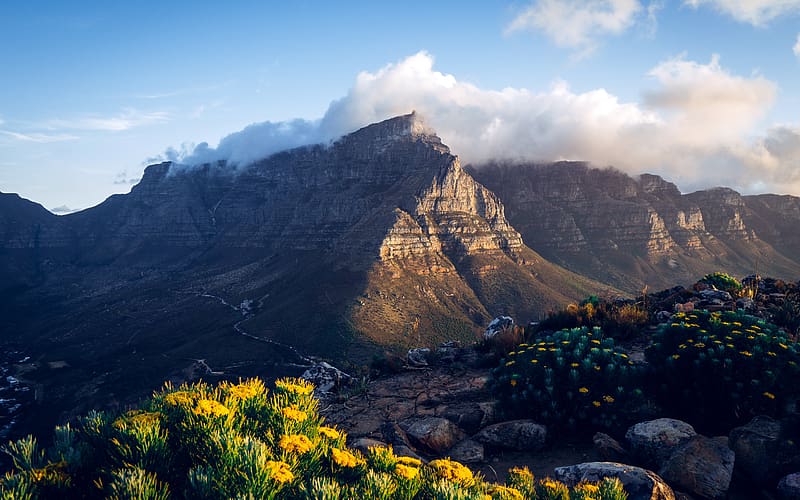 National Park Hilltop Cape Town South Africa, HD wallpaper