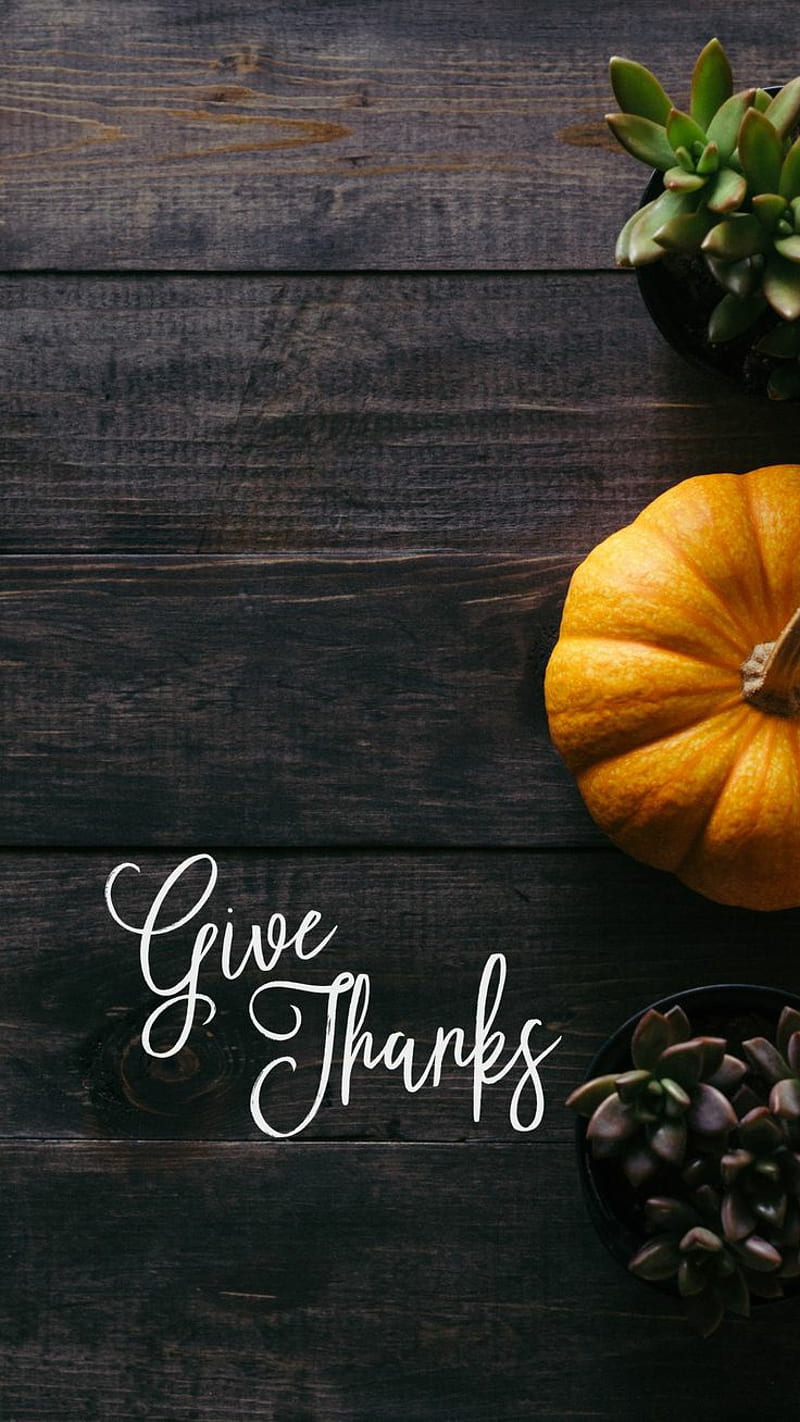 Thanks, fall, fall nature, fall scenes, give, nature, pumpkins, scenery, season, HD phone wallpaper