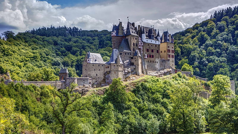 Forest castle, architecture, forest, cool, medieval, fun, castle, HD ...