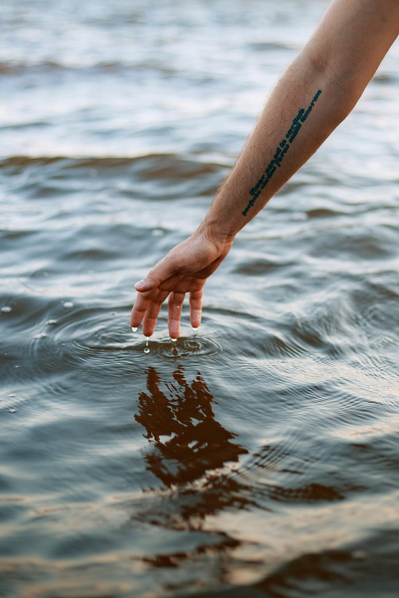 person hand reaching calm water with dreamcatcher tattoo photo  Free Tattoo  Image on Unsplash
