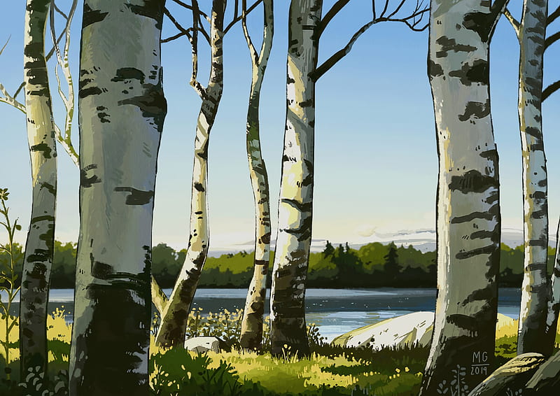 birches, trees, art, HD wallpaper