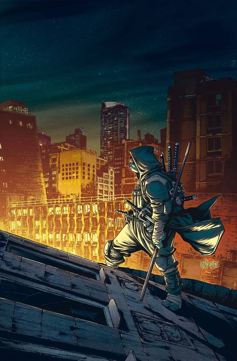 Teenage Mutant Ninja Turtles, Santolouco, rooftops, city, night, warrior, artwork, HD phone wallpaper