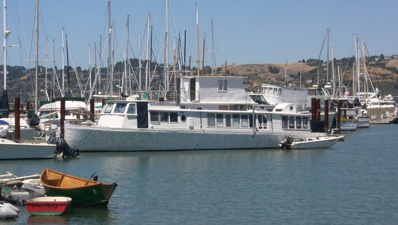 Sausalito Marina, marina, boats, california, sausalito, ocean, HD wallpaper