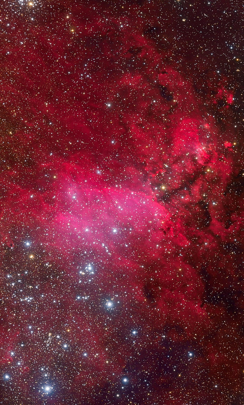 Prawn Nebula, nature, planet, HD phone wallpaper