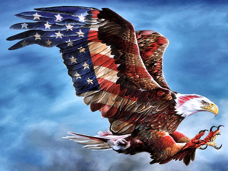 American Glory - Eagle F1Cmp, art, eagle, bonito, sky, clouds, illustration, artwork, animal, bird, avian, painting, wide screen, wildlife, raptor, HD wallpaper