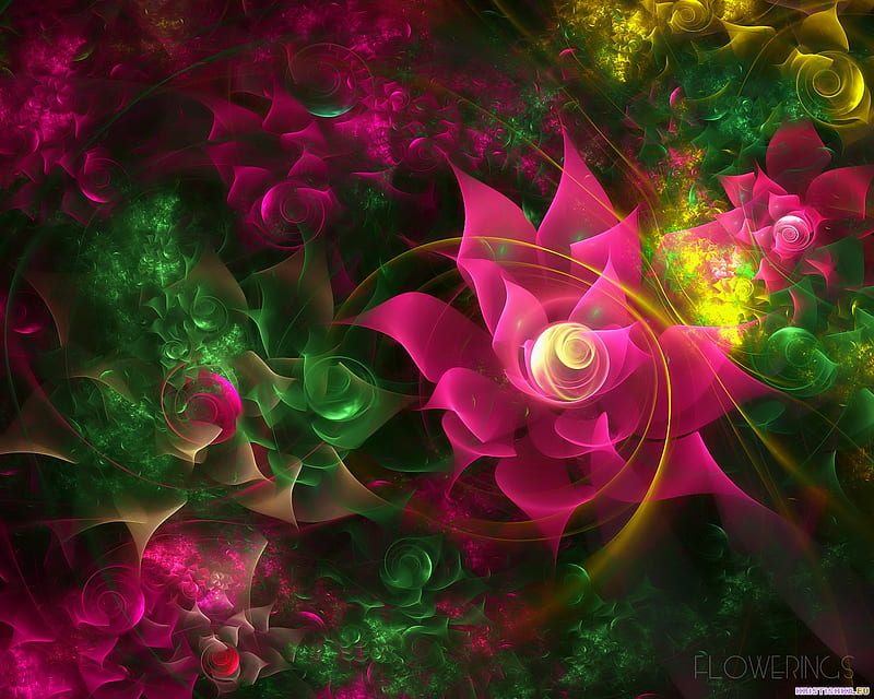 FRACTAL 3D, 3d, fractal, flower, roses, form, HD wallpaper | Peakpx