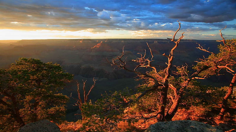 Wonderful sunrise on the grand canyon, cliffs, sunrise, trees, clouds ...