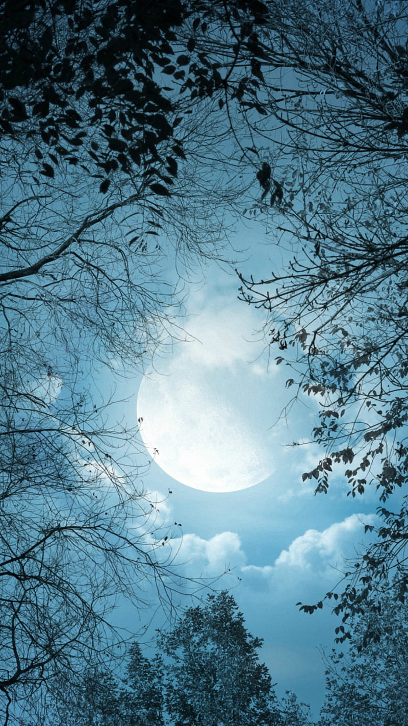 Luna En Winter, disfruta, moon, winter, HD phone wallpaper