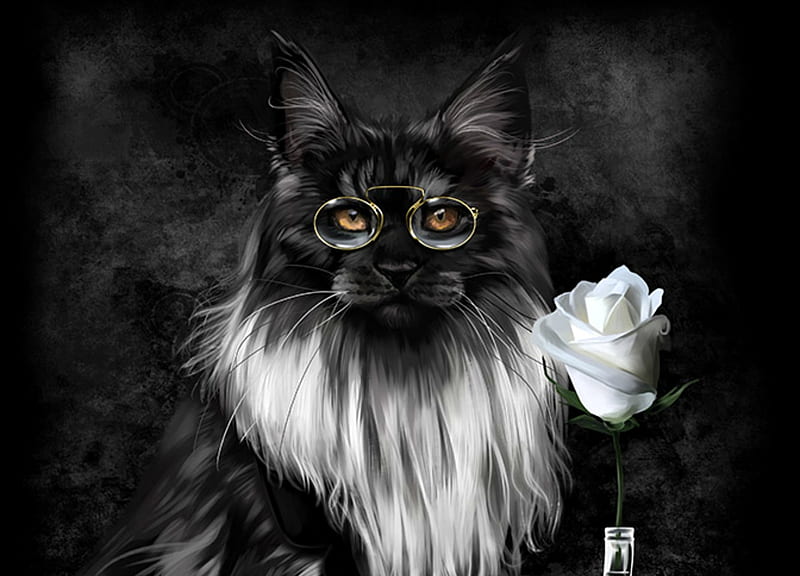 Cat and rose, art, lorri kajenna, rose, glasses, black, cat, trandafir, fantasy, maine coon, white, pisica, HD wallpaper