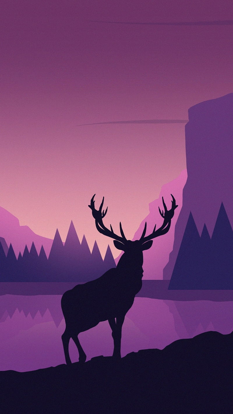Animals, deer, elk, hunting, oak, real, hunter, violet, HD phone wallpaper  | Peakpx