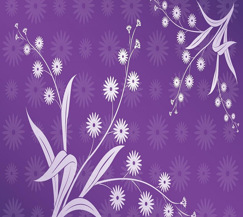 Purple, abstract, designs, HD wallpaper