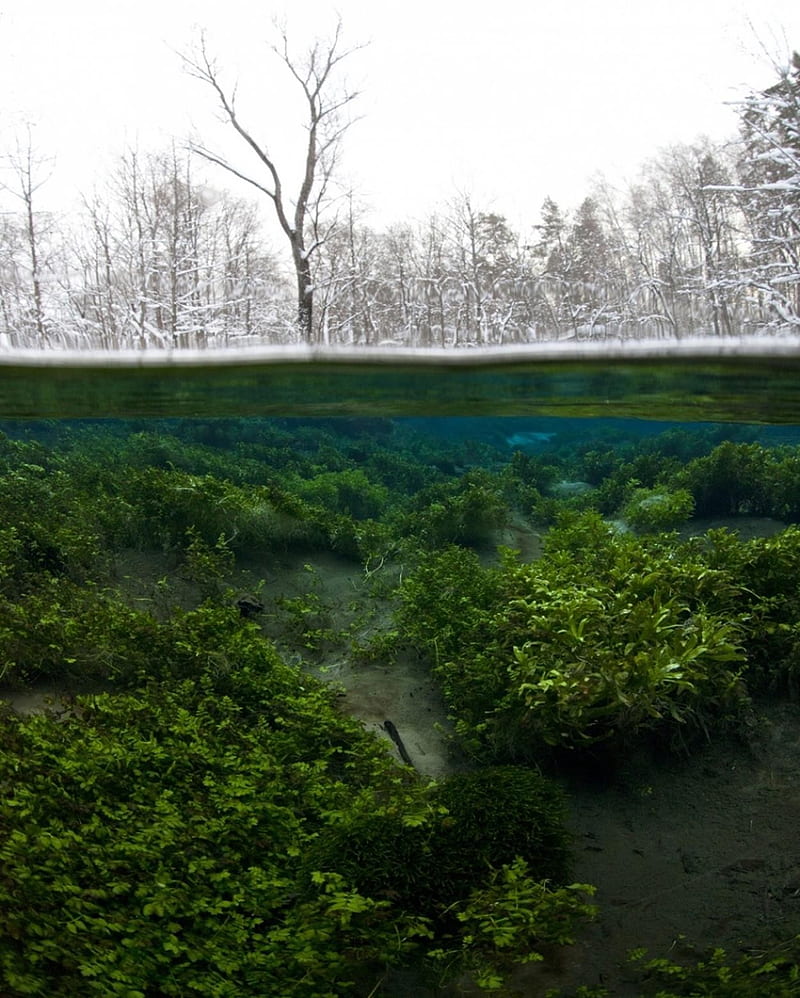 Russia, water, landscape, underwater, HD phone wallpaper