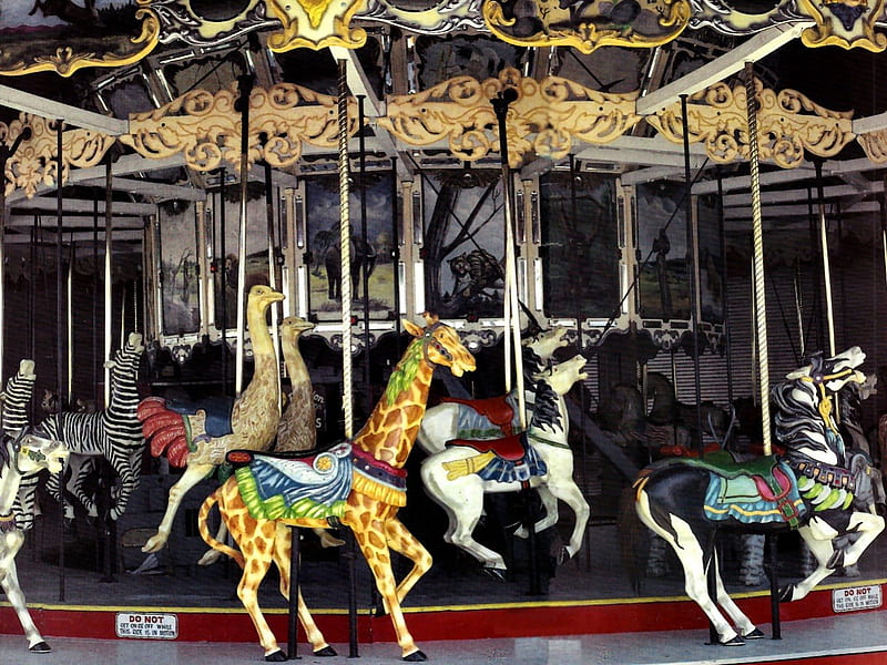 Carousel Ride 2, ostrich, graphy, carousel, wide screen, giraffe, zebra, horses, HD wallpaper