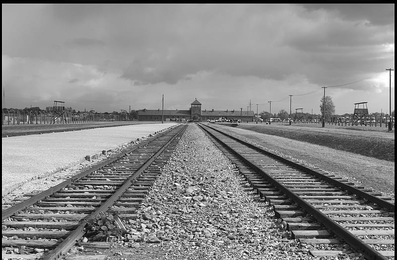 Auschwitz-Birkenau - Poland, Auschwitz Birkenau, History, Poland, Auschwitz, World War Two, HD wallpaper