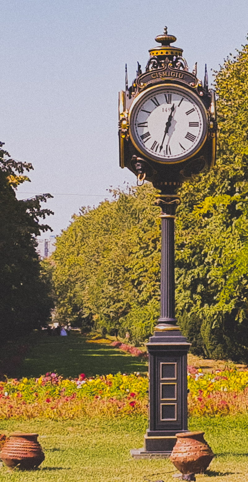 Park clock, nature, plants, time, trees, HD phone wallpaper