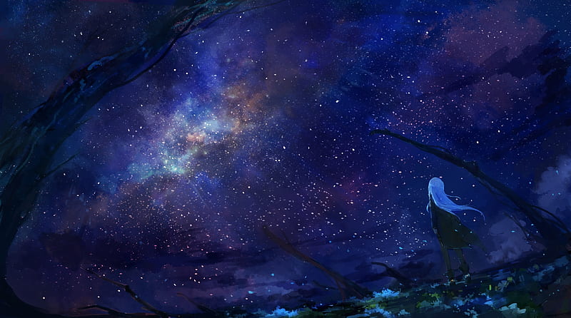 anime starry sky, anime girl, back view, night, scenic, boots, Anime, HD wallpaper