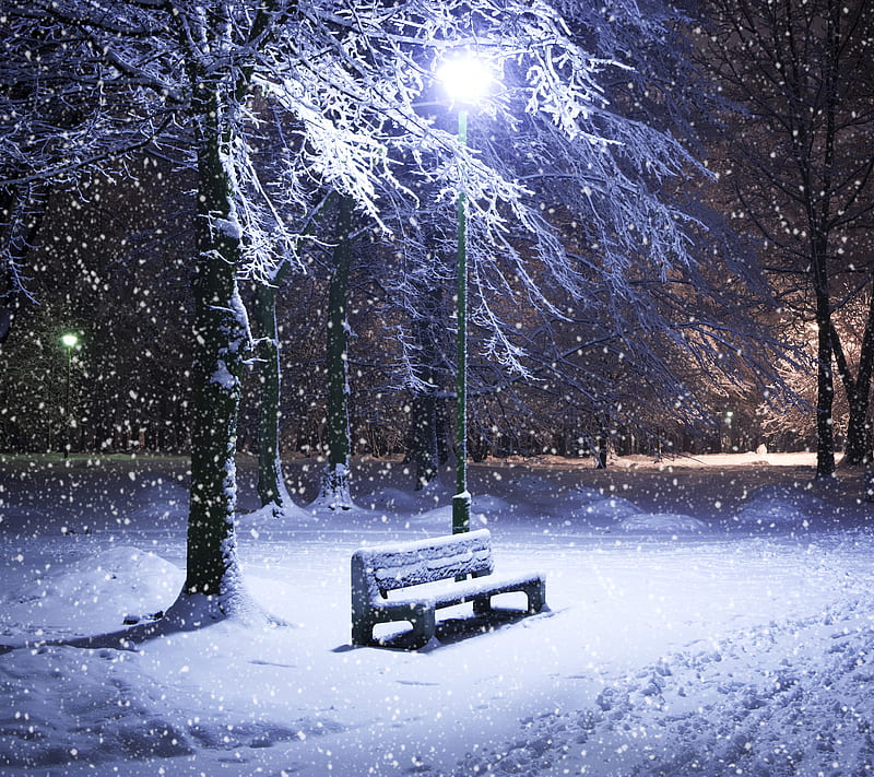 Winter In Park, night, snow, HD wallpaper