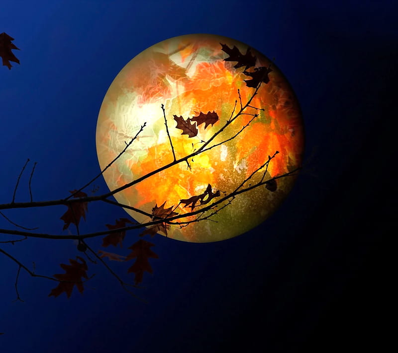 Autumn moon, art, desenho, fantasy, painting, HD wallpaper | Peakpx