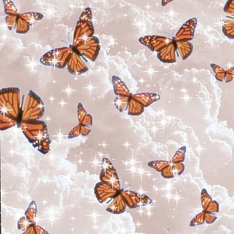 Butterfly, aesthetic, HD phone wallpaper