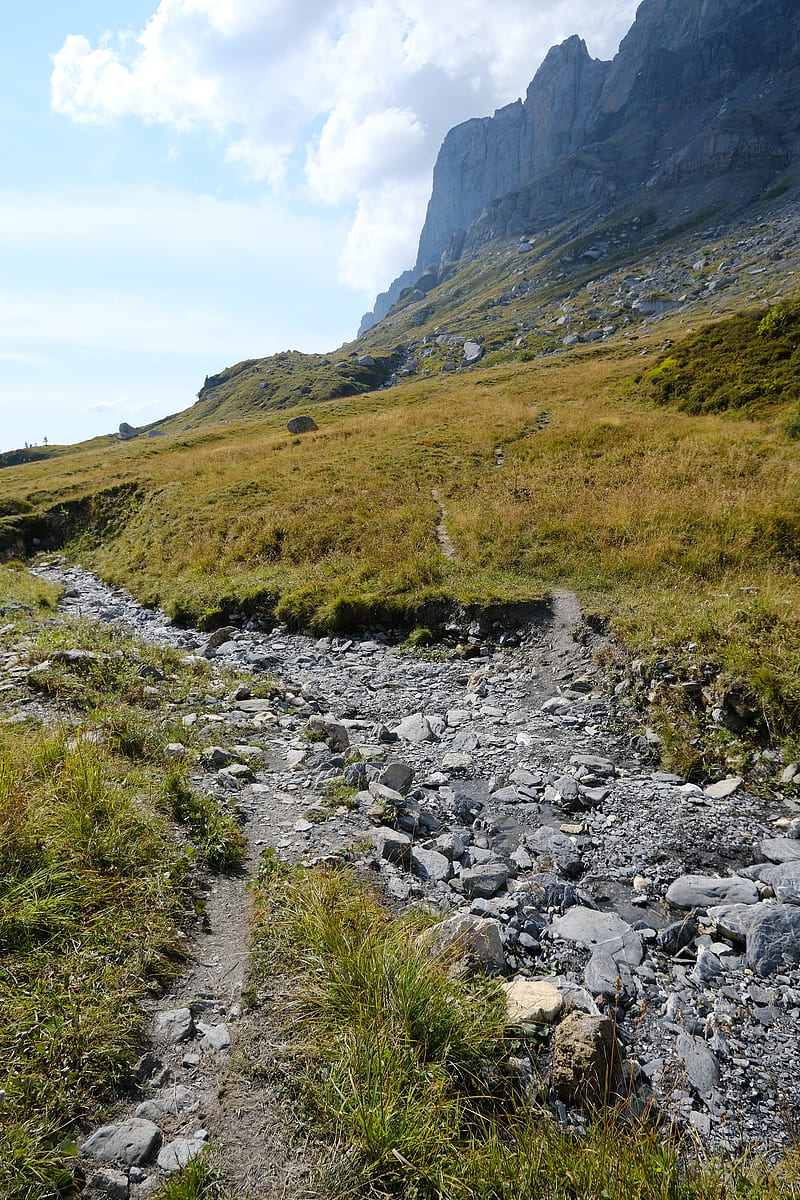 rocks, hill, grass, path, stones, nature, HD phone wallpaper