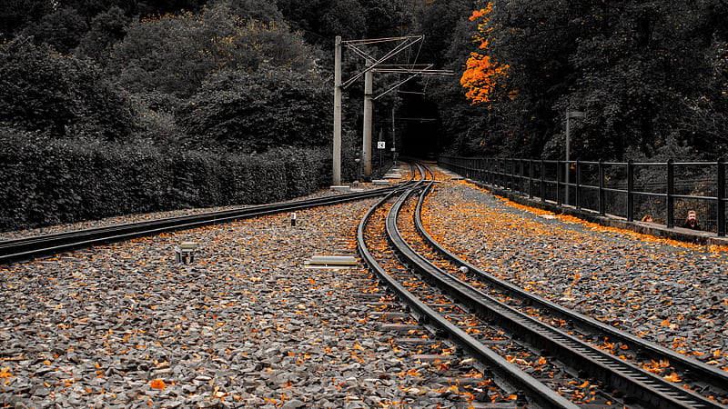 Railway Track Stones Red Autumn Leaves Trees Fence Nature, HD wallpaper