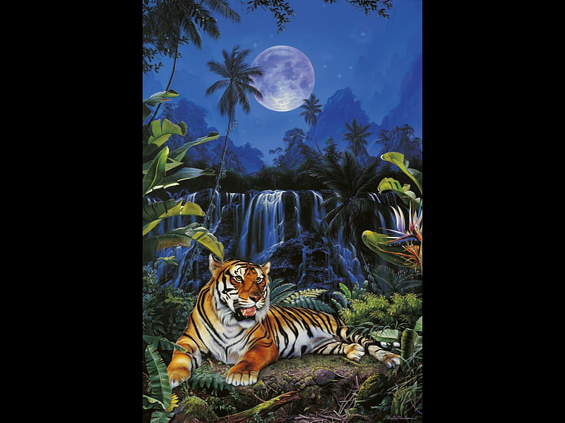 EYE OF THE TIGER, moon, jungle, waterfall, tiger, cat, sky, night, HD wallpaper