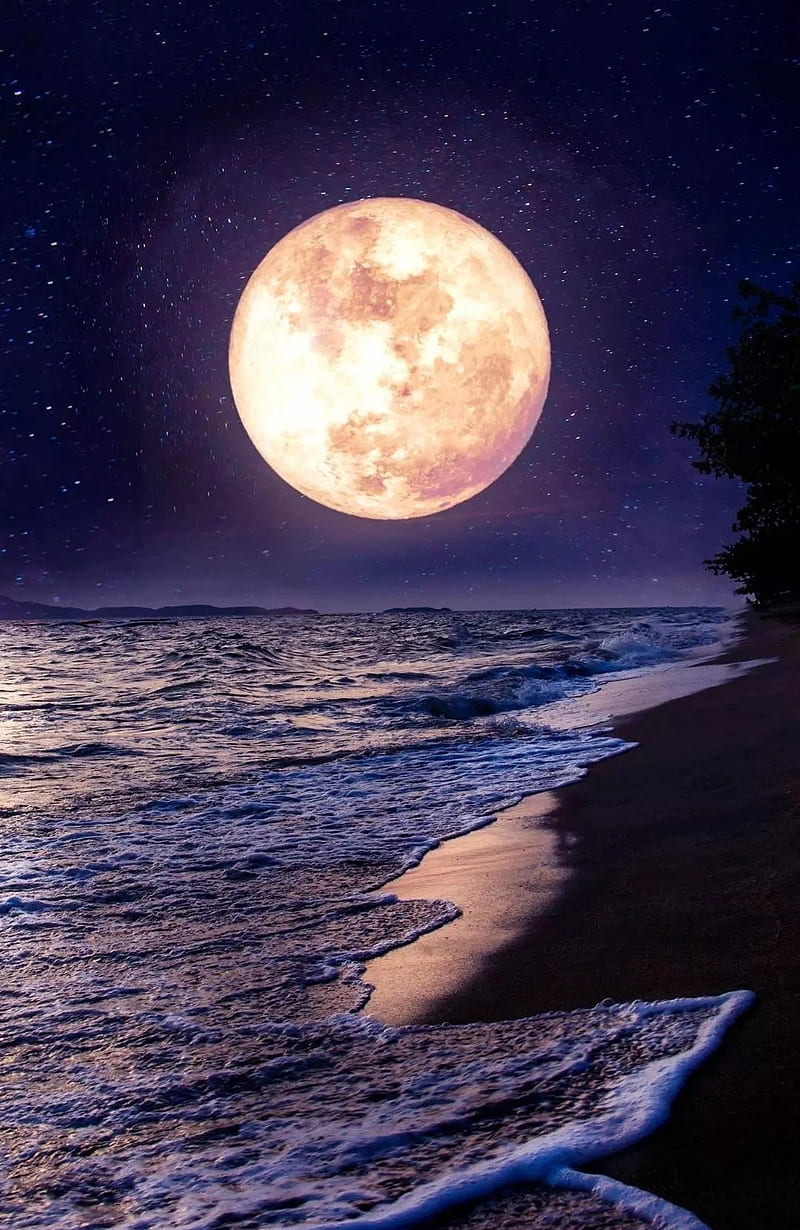 Rising Moon, beach, moonshine, nature, night, HD phone wallpaper