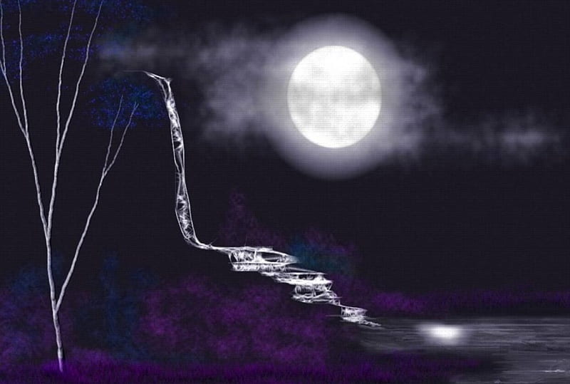  Vista de noche, pasion, moon, night, vista, HD wallpaper