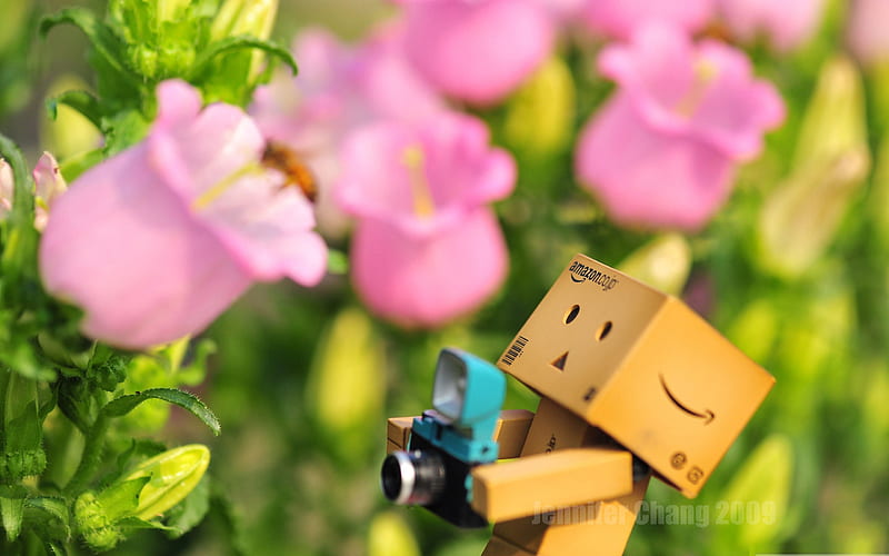 danbo flowers graphy-Carton with the film people Danbo, HD wallpaper