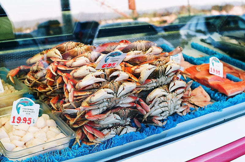 pile of edible crabs, HD wallpaper