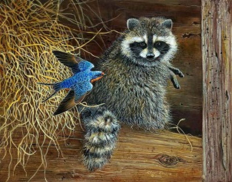 In the Stable, birs, racoon, painting, straw, artwork, HD wallpaper