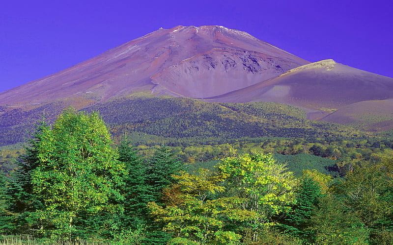 ❀ღ❖❀ mt fuji ❀ღ❖❀, mountain, tree, purple, view, HD wallpaper