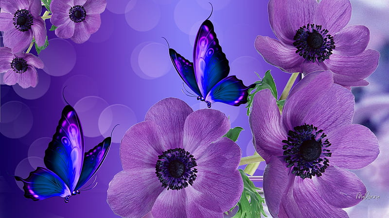 Shades of Purple, Firefox theme, poppies, butterflies, lavender, floral, bokeh, purple, wild, summer, flowers, blue, HD wallpaper