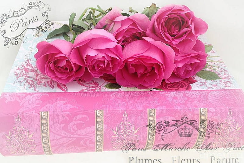 Roses on Pink Book, romantic, books, holiday, love four seasons, roses, still life, Valentines, flowers, beloved valentines, pink, HD wallpaper