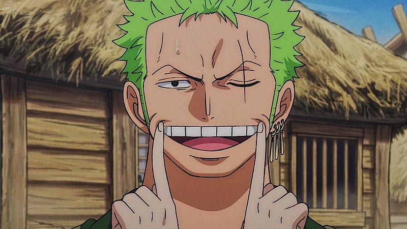 Roronoa Zoro ❁ on Twitter  Manga anime one piece, Roronoa zoro, Aesthetic  anime