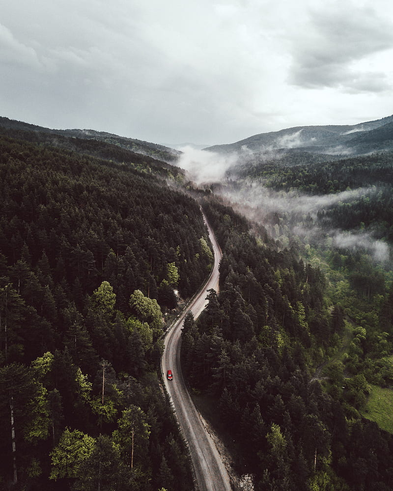road, forest, aerial view, mountains, hills, HD phone wallpaper