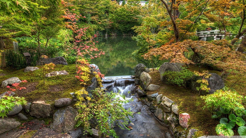 Japanese Garden, garden, river, japan, HD wallpaper | Peakpx