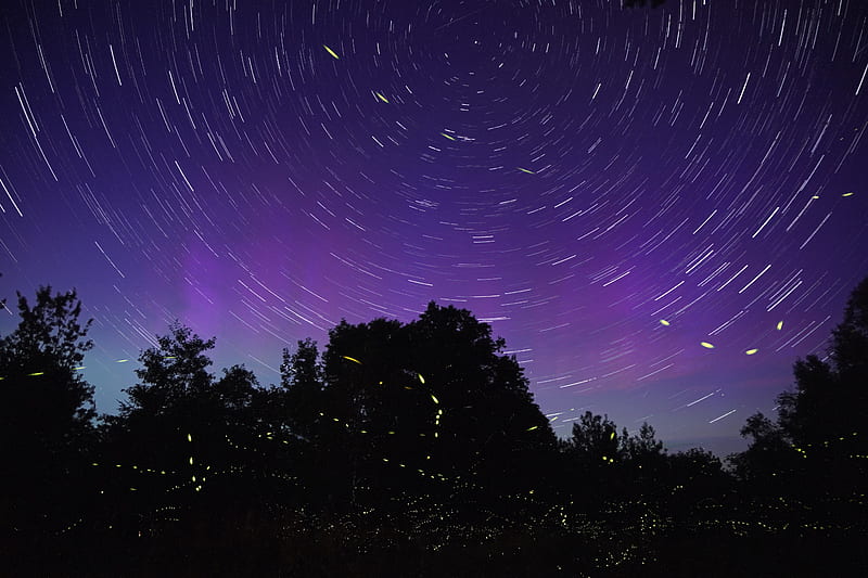 starry sky, night, blur, motion, long exposure, HD wallpaper