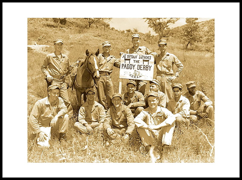 US Marines with Sgt. Reckless (Horse), US Marines, Hillside, Horse, Korea, HD wallpaper