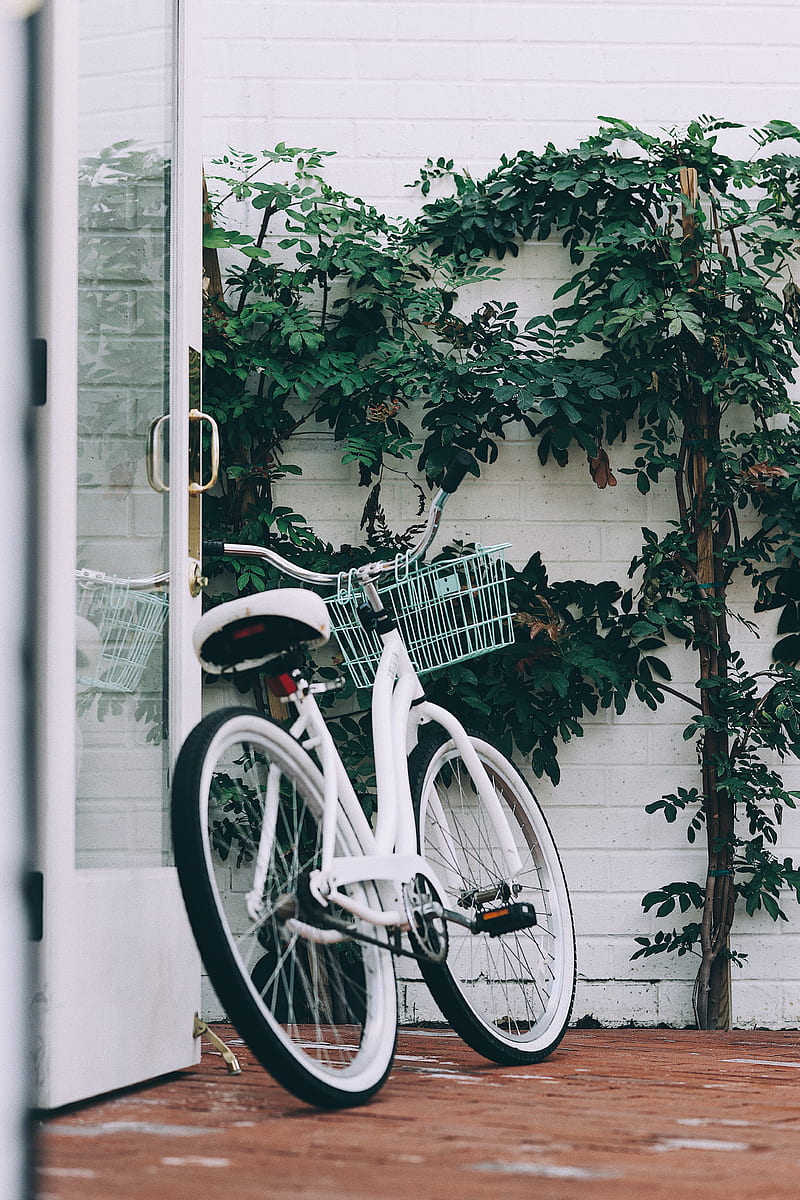 Bike, white, leaves, plant, HD phone wallpaper | Peakpx