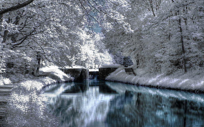 winter reflections-the cold winter landscape, HD wallpaper