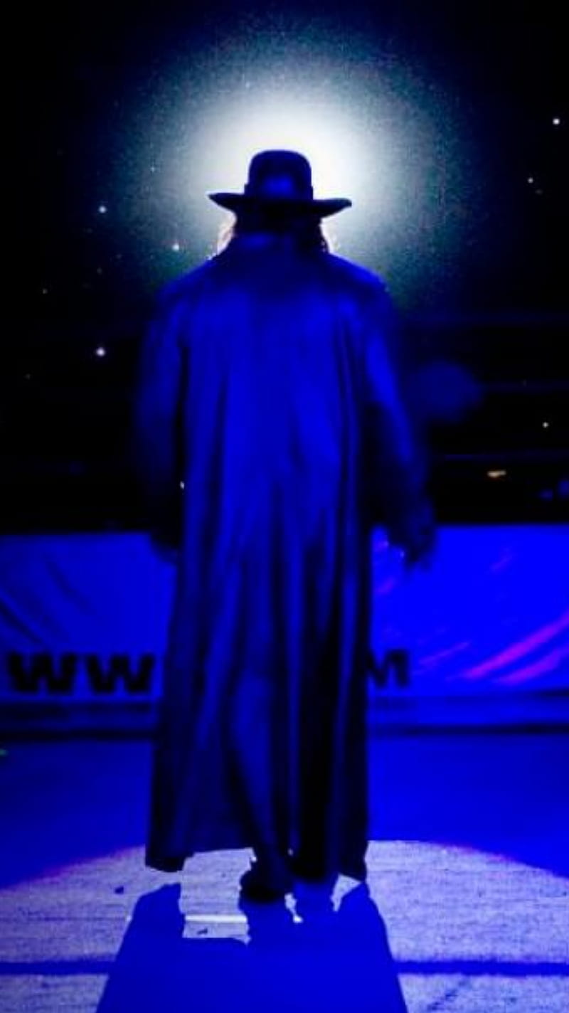 The Undertaker, deadman, legend, nxt, phenom, raw, smackdown, wwe, HD phone wallpaper