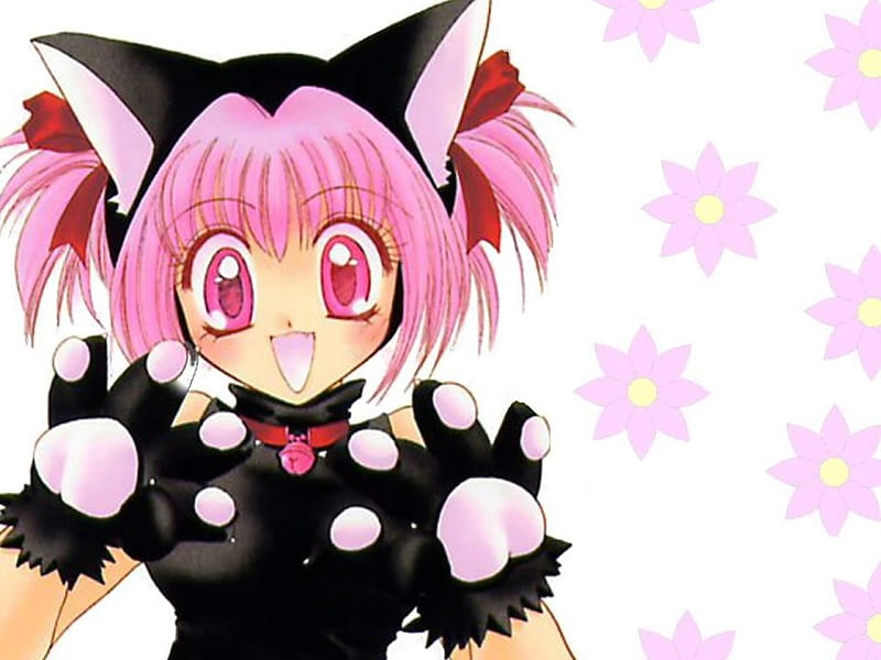 Ichigo Momomiya, Cute, Cat, Mew Mew Power, Strawberry, Tokyo Mew Mew, HD wallpaper