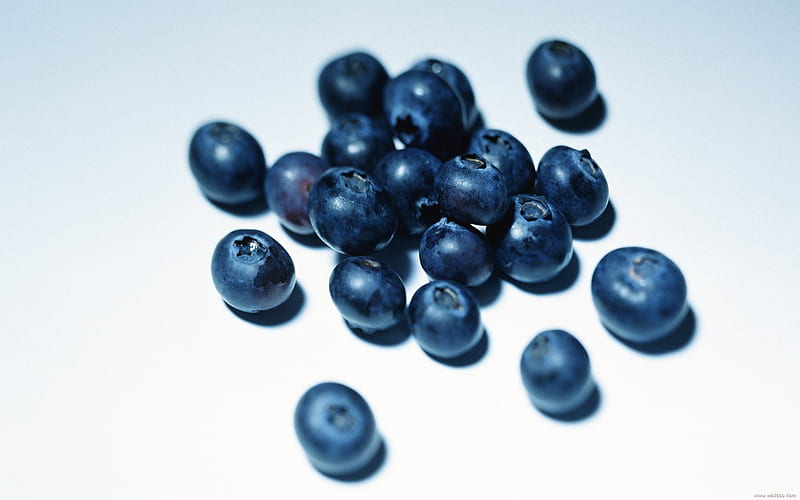 Fruit graphy Blueberries, HD wallpaper