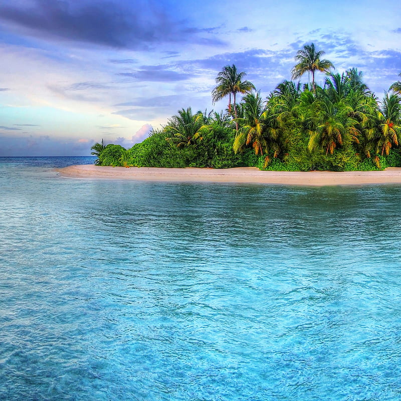 Paradise Island, beach, palm, tropical, HD phone wallpaper