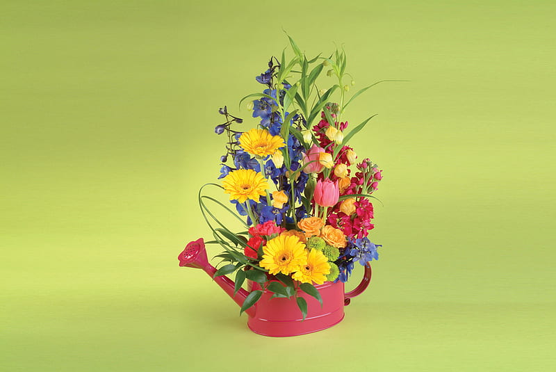 colour palette, still life, flowers, spring, fullcolours, variable, HD wallpaper