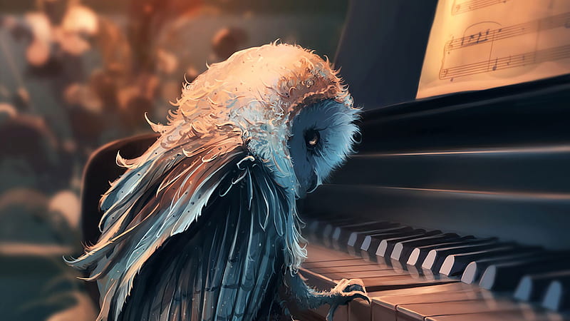 Fantasy Animals, Owl, Instrument, Piano, HD wallpaper