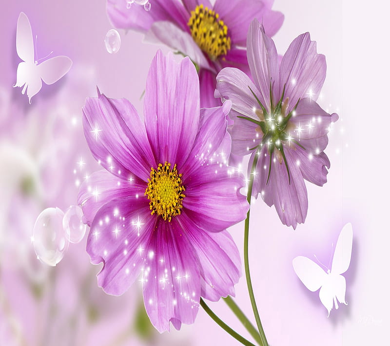 Beautiful Flowers, HD wallpaper