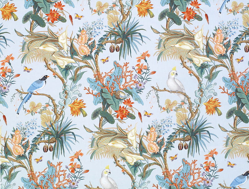 Texture, pattern, exotic, orange, pasare, parrot, bird, summer, flower, paper, blue, HD wallpaper